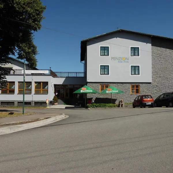 Penzion Velke Darko, hotel di Škrdlovice