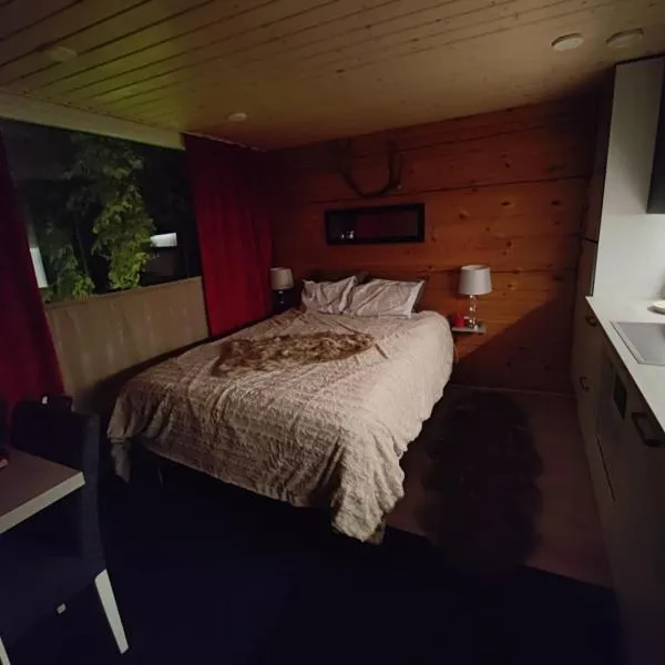 Lapland Aurora cabin, viešbutis mieste Apukka