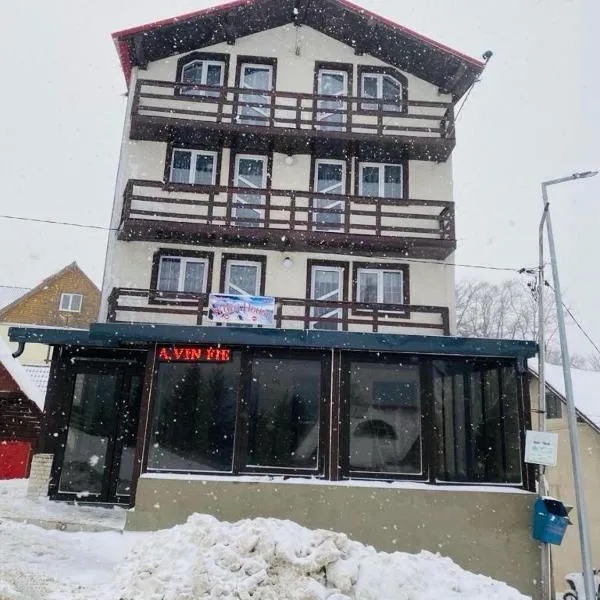 Pensiunea White House, מלון בסטראיה