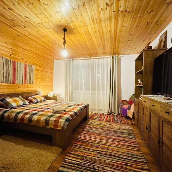 Arpas Spirit, hotel v mestu Arpaşu de Jos