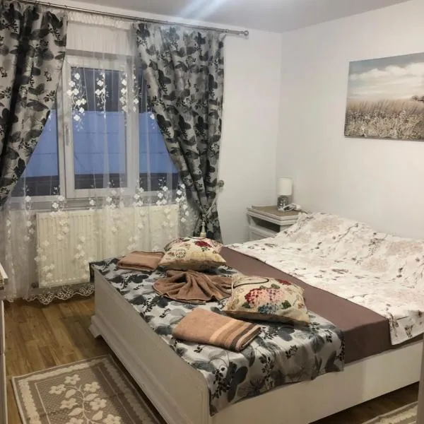 Apartament în regim hotelier familie, hotel in Vatra Dornei