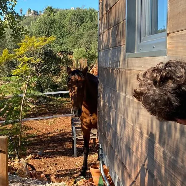 Tiny House Horses Hbergement Atypique Loul, khách sạn ở Loulé