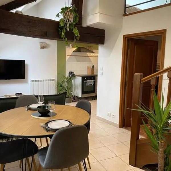 Dupplex, centre ville, hotel in Blois