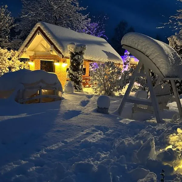 PENSIUNE RESTAURANT POIANA AVRIGULUI loc de joaca pentru copii，位于阿夫里格的酒店