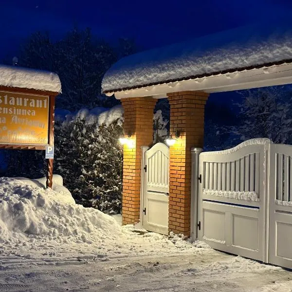 PENSIUNE RESTAURANT POIANA AVRIGULUI loc de joaca pentru copii, ξενοδοχείο σε Avrig