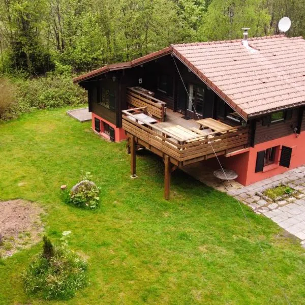 Chalet les Bleuets 12p - babyfoot & Wii, hotel a Gérardmer