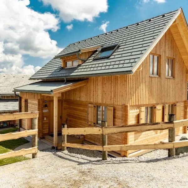 1A Chalet 'Horst' Wandern, Grillen, Panorama Sauna!, hotel v destinácii Klippitztorl