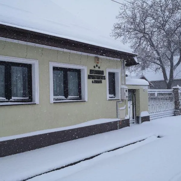 Aterman Apartment's, hotel in Şercaia