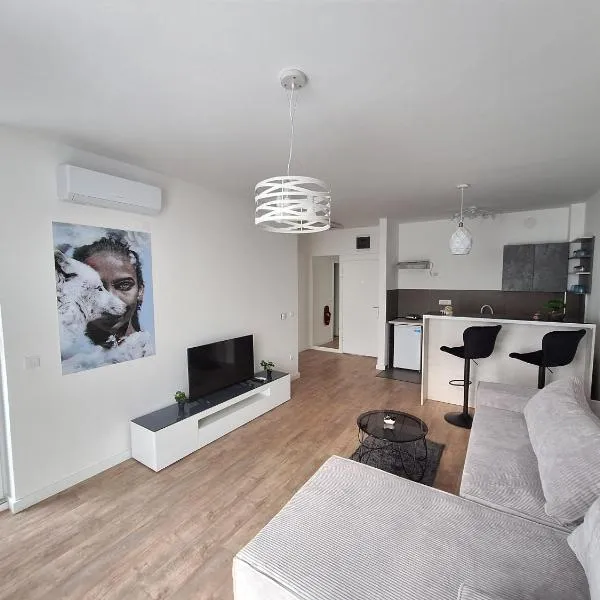 Doveja Apart, hotel v destinaci Novi Sad