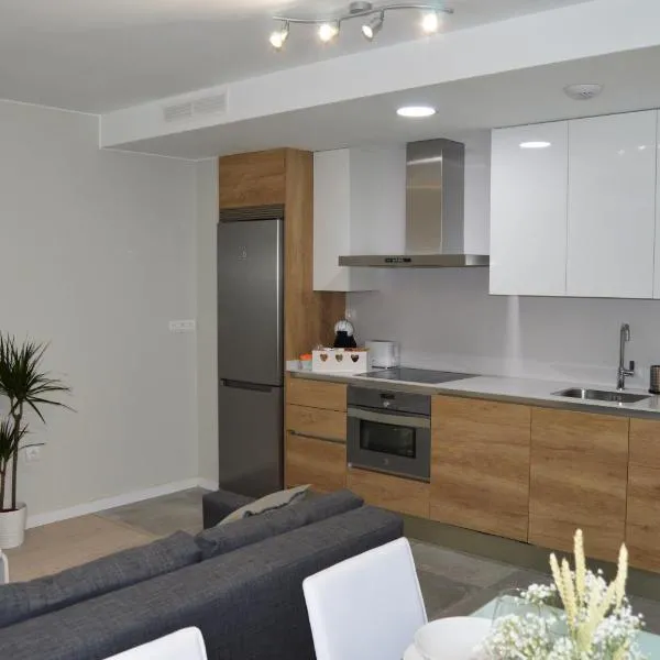 Apartamenticos Plaza del Pilar I, hotel in Zaragoza