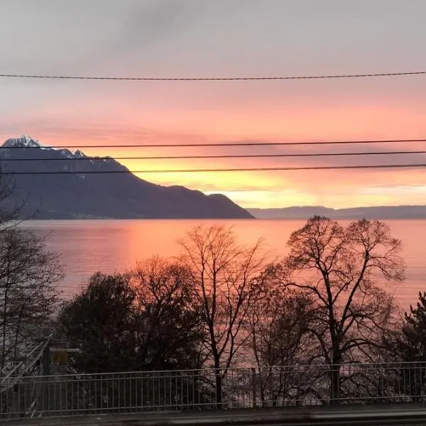 Castle view, hotel di Veytaux