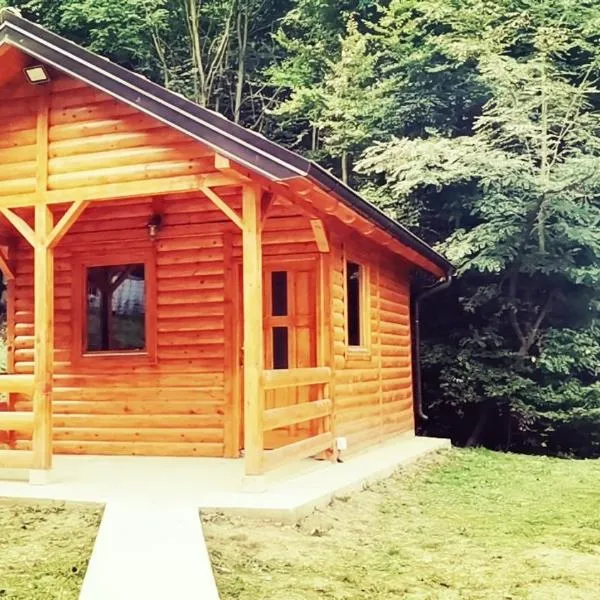 Brvnara, hotel in Arandjelovac