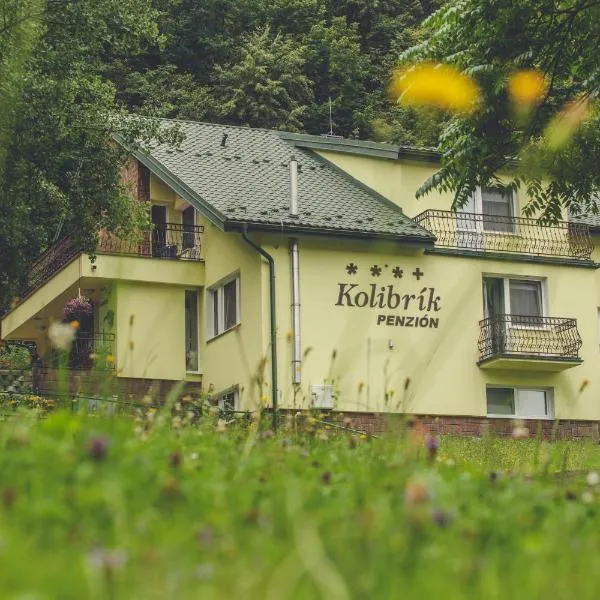 Penzión Kolibrík, hotel v destinaci Bardejovské Kúpele