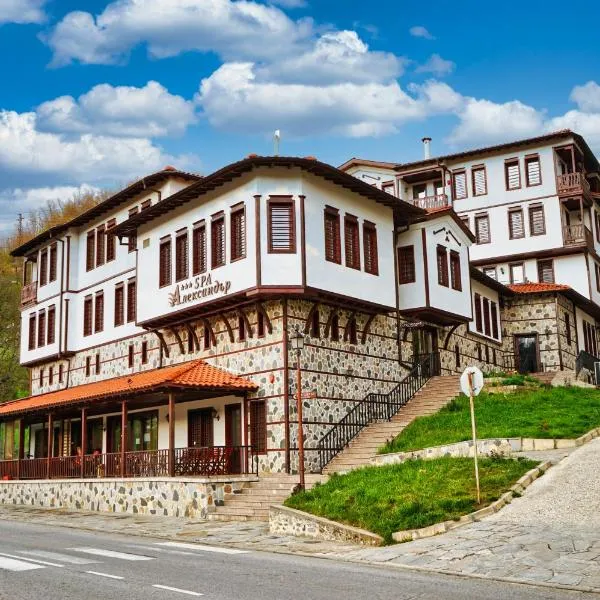 Spa Complex Aleksandar, hotel Zlatogradban