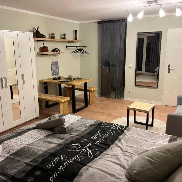 Studio an der Elbe mit Balkon, Küche und Netflix, hotel v Drážďanech