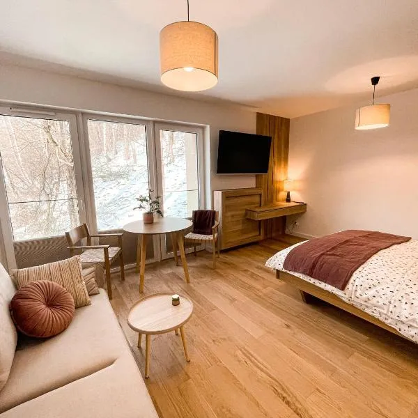 Apartament Cicha 16/ 7A - miejsce parkingowe w garażu, хотел в Криница-Здруй