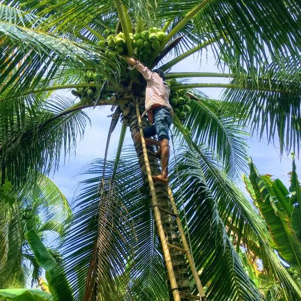 Coco Happy Farm, hôtel à Ba Tri