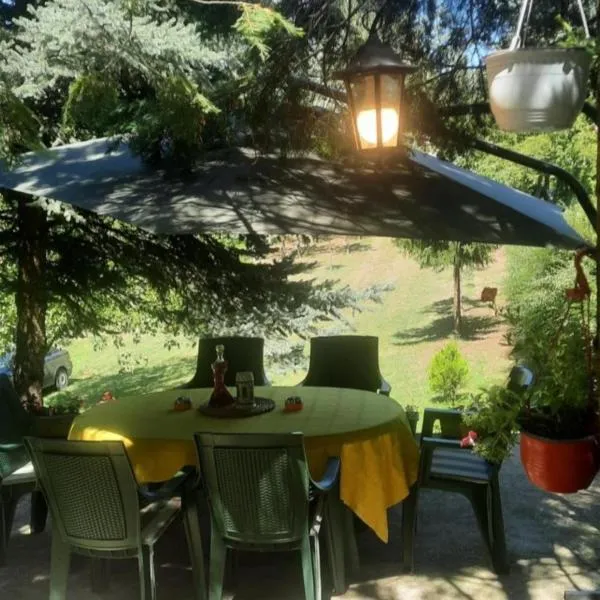 Šumska kuća Atina - Devojački Bunar, hotel v destinaci Alibunar