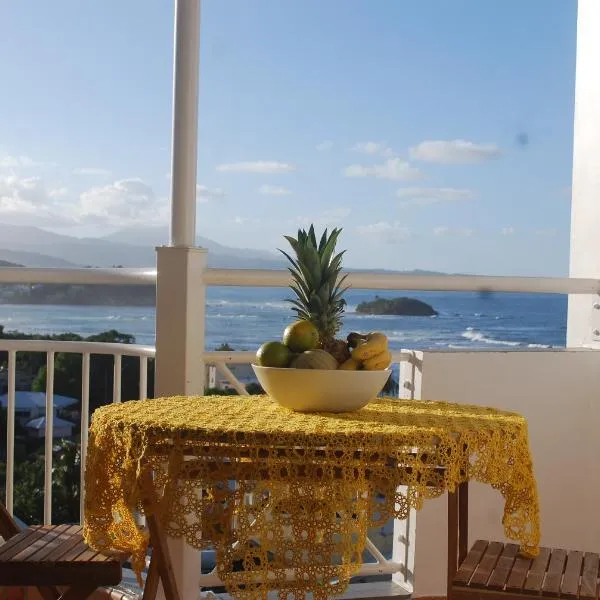Appartement de la baie, vue magnifique, Tartane, hotel in La Trinité