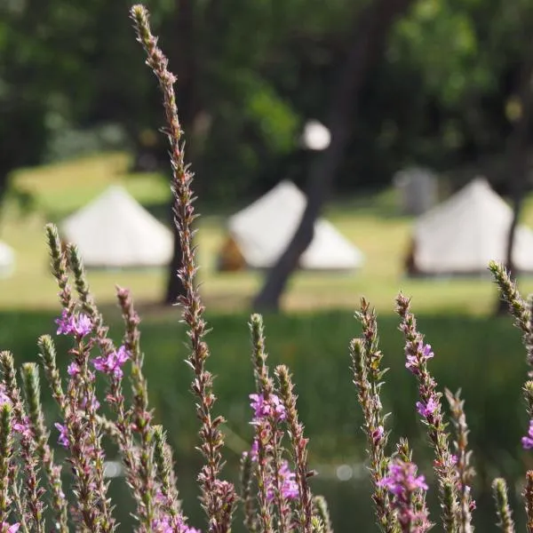 Iluka Retreat Glamping Village & Group Lodge Accommodation, khách sạn ở Red Hill South
