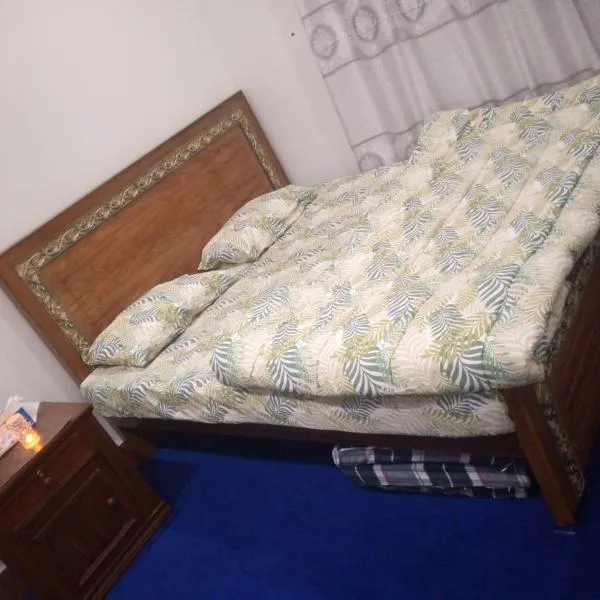 Rehan's 1 bed Apartment with Free Wifi with AC 12000 without 8000, hotel in Wāh