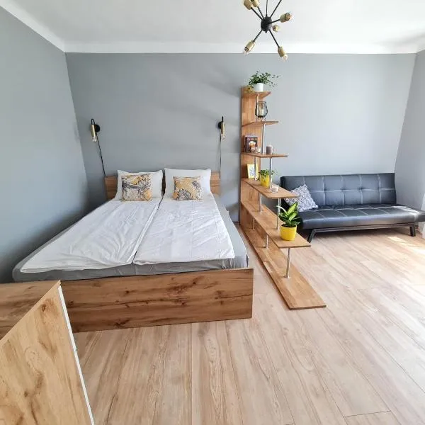 The sunny willow apartments、リエパーヤのホテル