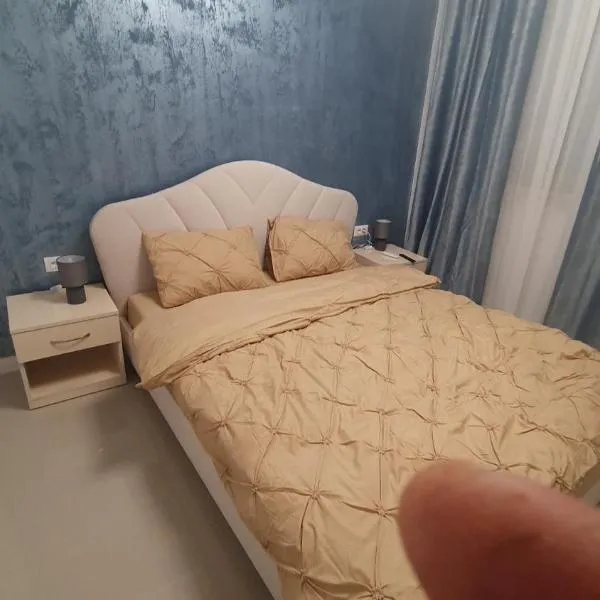 casa nedelcu, hotel sa Craiova