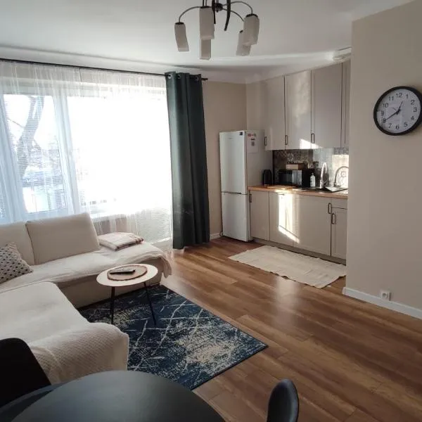 Apartament typu studio, hotel in Włocławek