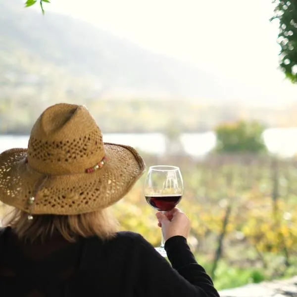 Quinta das Casas - Douro Winery & Villas, hotel v destinaci Vila Real