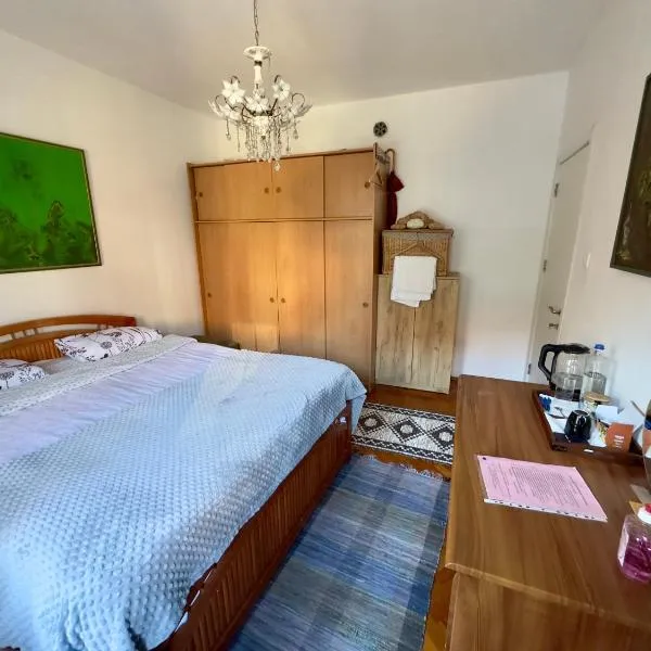 Convini Bed & Bathroom Homestay, hotel in Pristina