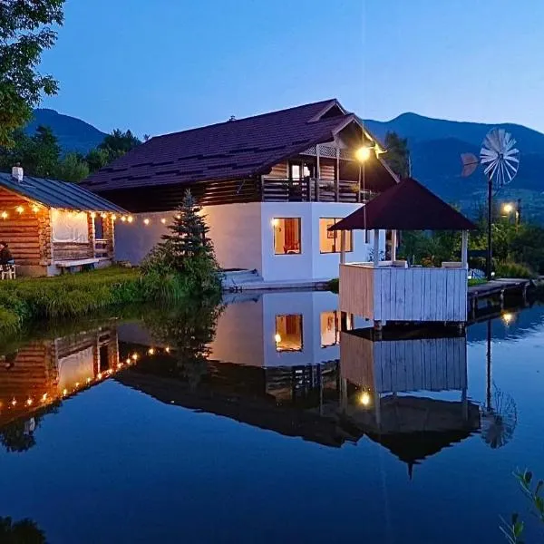 Pensiunea Lacul Arșiței, hotel v destinaci Borşa