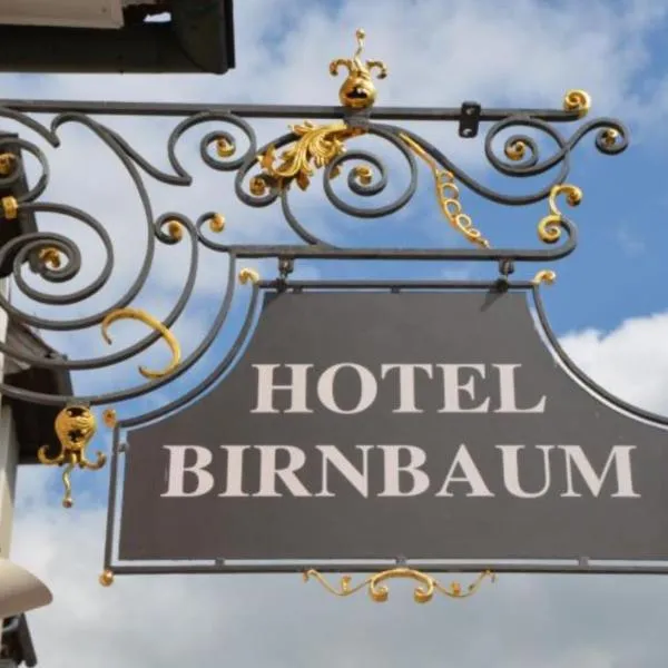 Hotel Birnbaum، فندق في أنسباخ