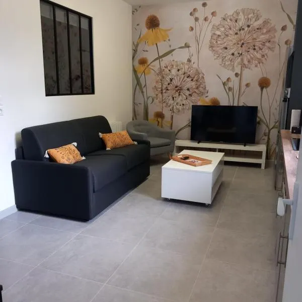 La cour fleurie, tout confort, hotel v Dijonu