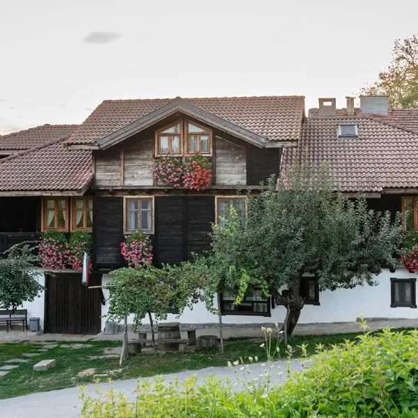 Kandaphery Guest Houses, hotell i Gurkovo