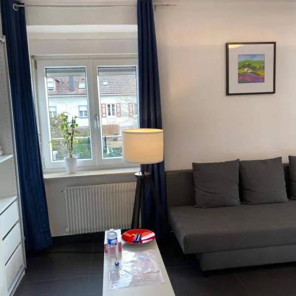 Preiswertes stilvolles Zimmer im privaten Haus mit großem schönem modernem Gemeinschaft Badenzimmer, hotel v destinaci Lörrach