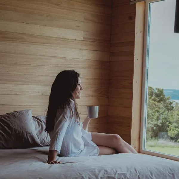 Ave Lodge Frutillar, hotell sihtkohas Frutillar