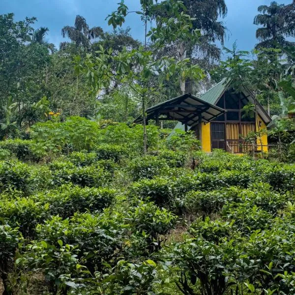 Rainforest cabin, hotel a Deniyaya