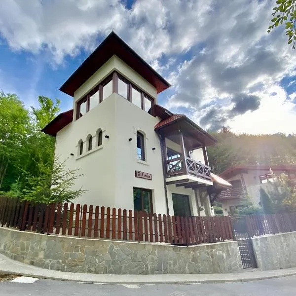 Alfinio Villa, hotel v destinaci Sinaia
