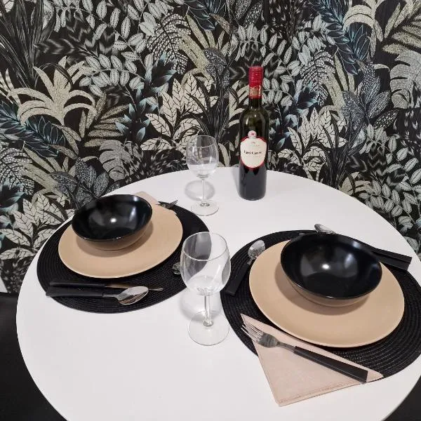 Schmidt Apartman Miskolc Belvárosában, hotel in Miskolc