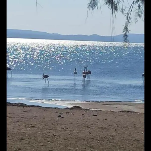 Angel's Houses, hotelli Skala Kallonisissa