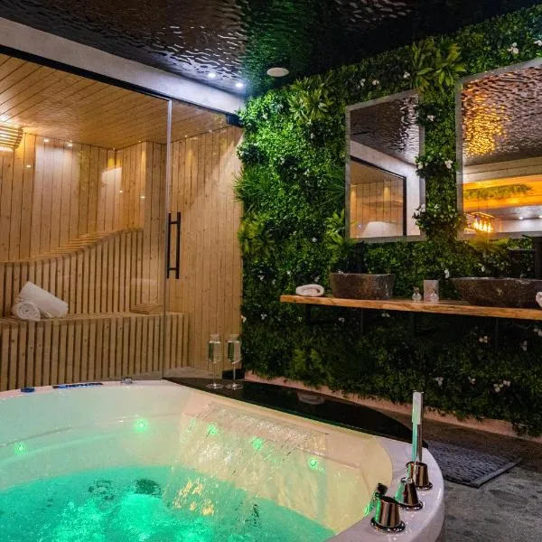 Le Nature - Sauna - Balnéo - Sparoom Sarreguemines, hotel v destinácii Sarreguemines