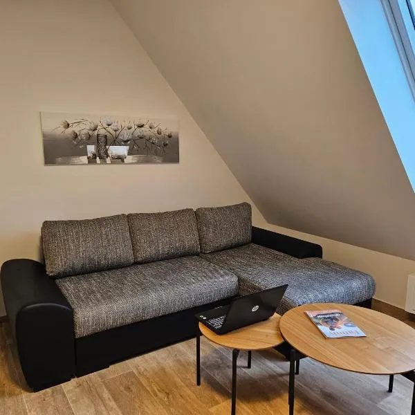 3 Zimmerwohnung am Neuer Teich, hotel v destinaci Wolfsburg