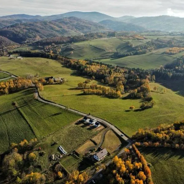 Sosnowe Wzgórze - Wypoczynek w Zagórzu Śląskim 3, hotel v destinaci Zagórze Slaskie