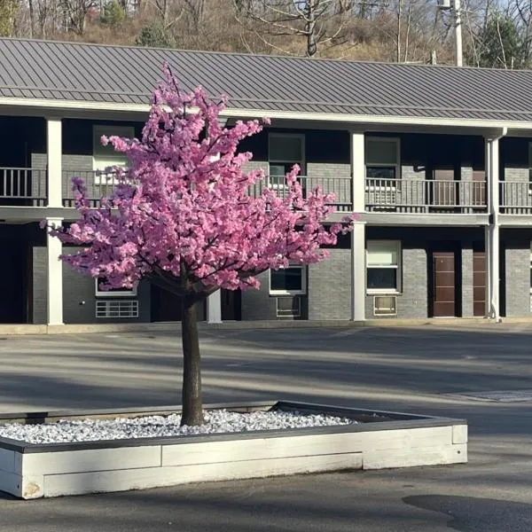 Luxor Inn & Suites, a Travelodge by Wyndham, hotel in Elkins