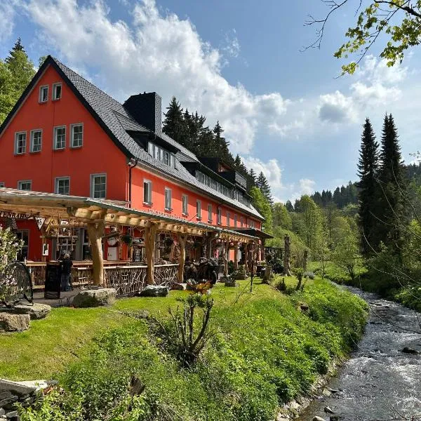 Erlebnishotel & Restaurant Fichtenhäusel am Pöhlagrund, готель у місті Jöhstadt