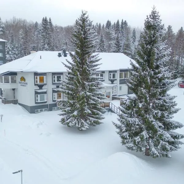 Hotel Aateli Lakeside, hotel in Tervajärvi