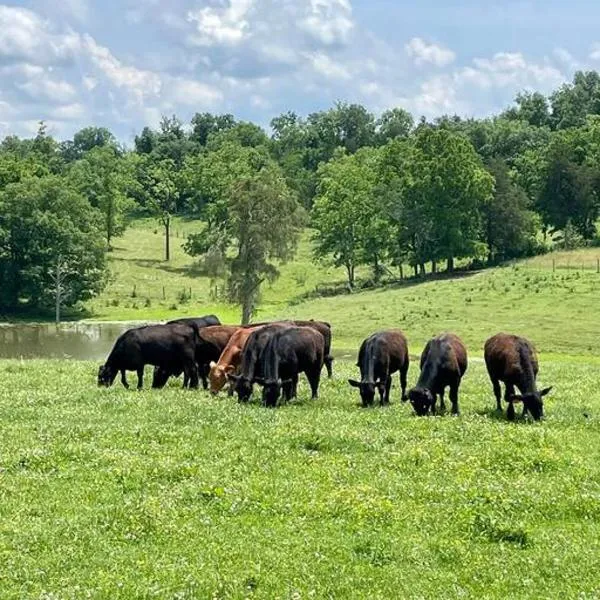 Bourbon Trail Cabin on the Farm、Lawrenceburgのホテル