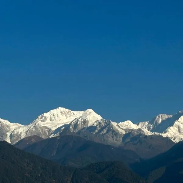 Wake In Himalayas，Dentam的飯店