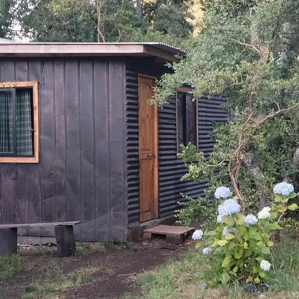 Suite doble Coñaripe, Hotel in Coñaripe