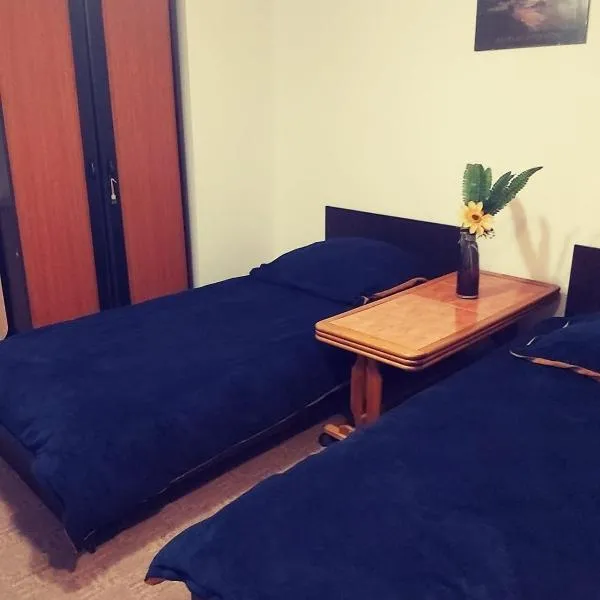 camera cu baie Tina, hotel v destinaci Temešvár